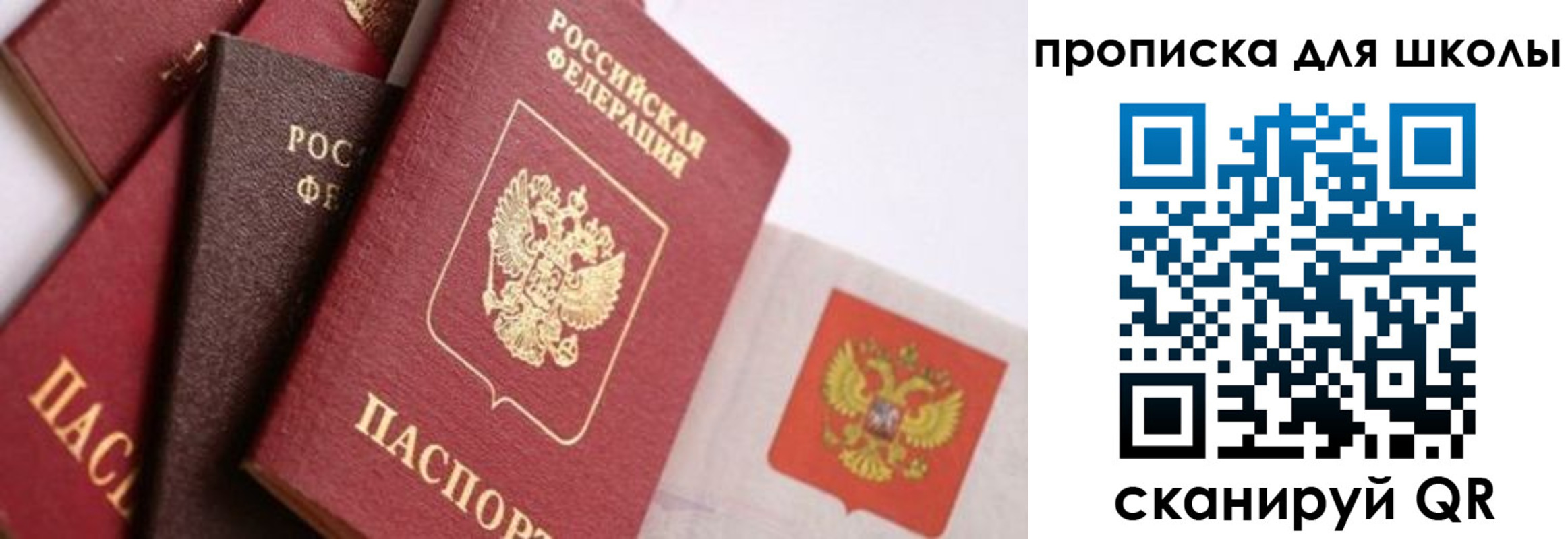 прописка поиск в Дивногорске